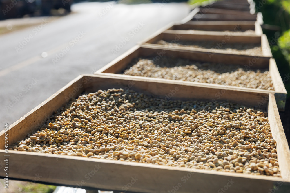 Rows of wooden trays filled with coffee beans are placed along a roadside, drying under the sun. The beans undergo a natural drying process to enhance their flavor before further processing. Rows of wooden trays filled with coffee beans are placed along a roadside, drying under the sun. The beans undergo a natural drying process to enhance their flavor before further processing.