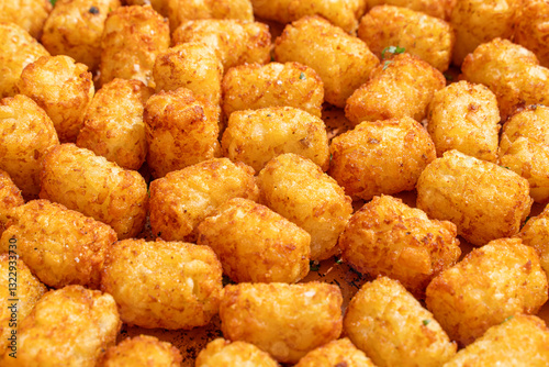 Tater Tots Closeup