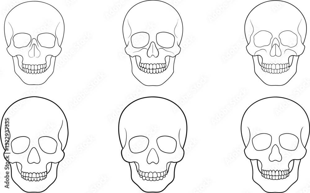 Continuous one line drawing of human skull vector
Line Art Illustration set Continuous one line drawing of human skull vector
Line Art Illustration set