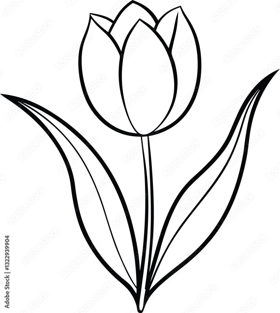 Obraz premium Tulip Line Art Floral Outline Drawing Design