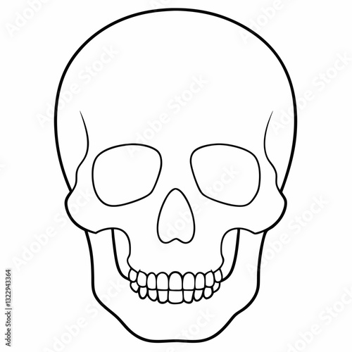 Continuous one line drawing of human skull vector
Line Art Illustration