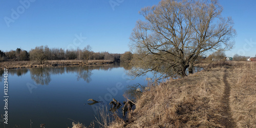 Spring walk through the forest, beautiful panorama.