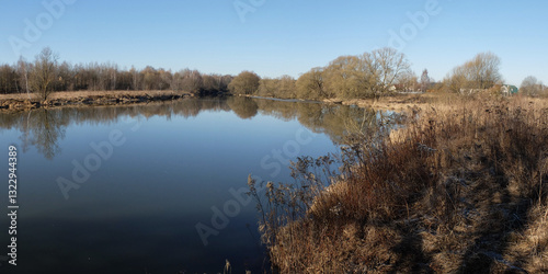 Spring walk through the forest, beautiful panorama.