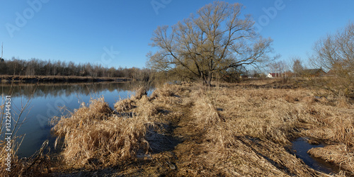 Spring walk through the forest, beautiful panorama.