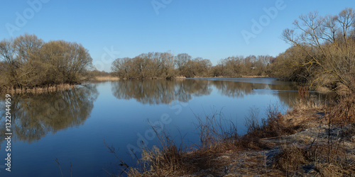 Spring walk through the forest, beautiful panorama.