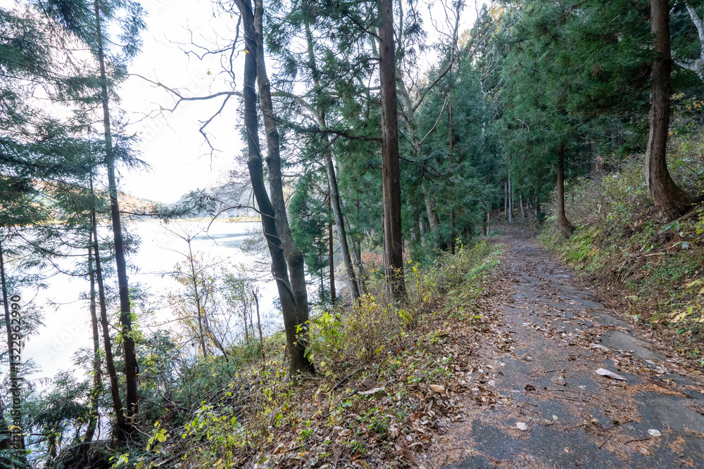 Fototapeta premium Historic old road “Salt Road” which is also a long distance hiking course and its surroundings