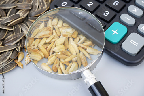 Obraz na plátně Sunflower seeds with black calculator under magnifying glass