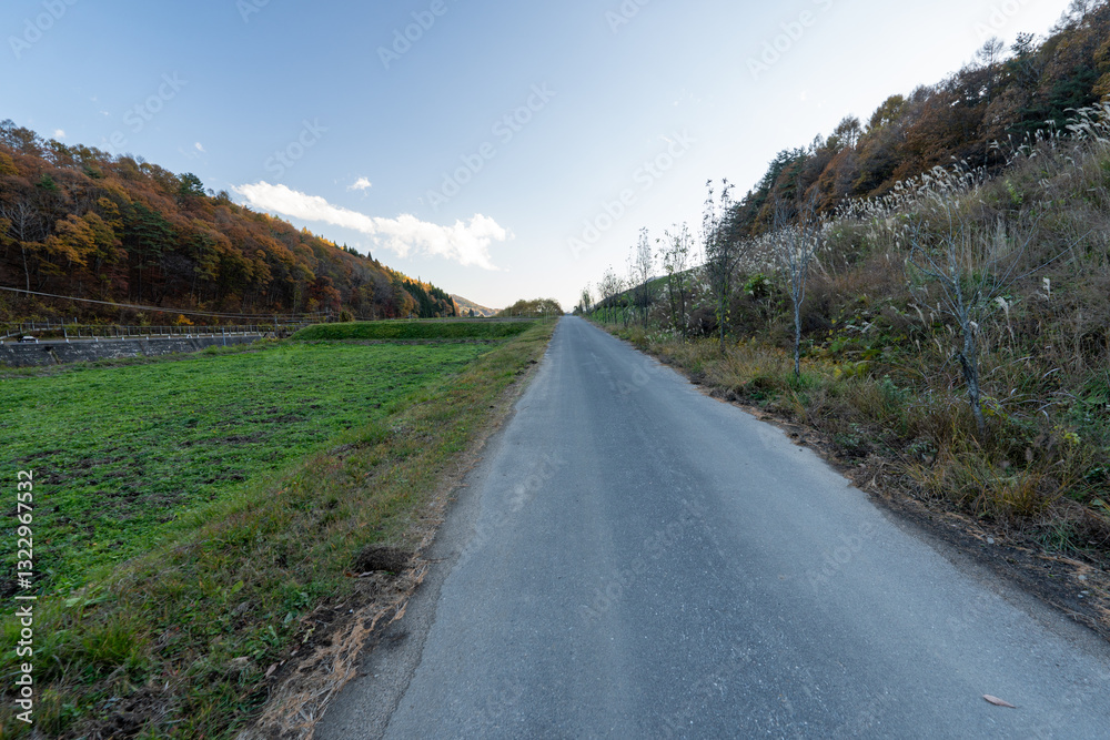 Fototapeta premium Historic old road “Salt Road” which is also a long distance hiking course and its surroundings