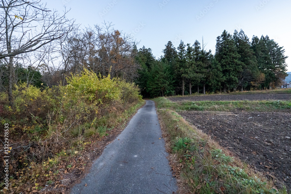 Historic old road “Salt Road” which is also a long distance hiking course and its surroundings Historic old road “Salt Road” which is also a long distance hiking course and its surroundings