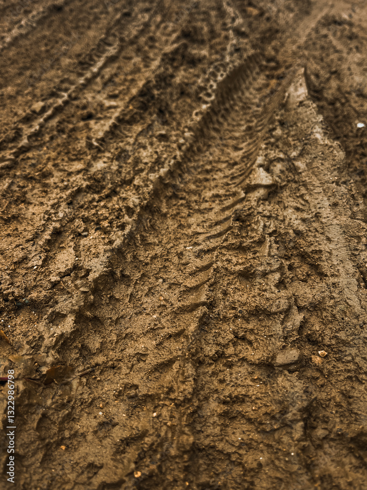 muddy path muddy path