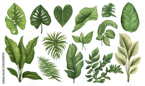 Tropical leaves foliage plant jungle bush floral, PNG
