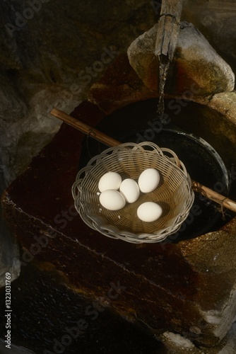 Warm springs cradle delicate onset eggs as steam rises  photo