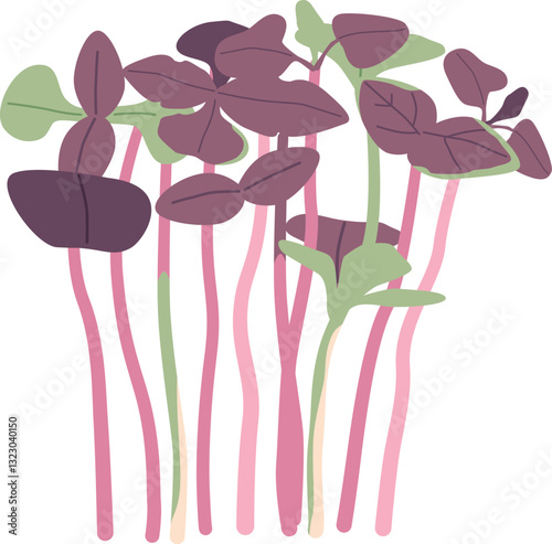 Swamp cattails plant vector illustration