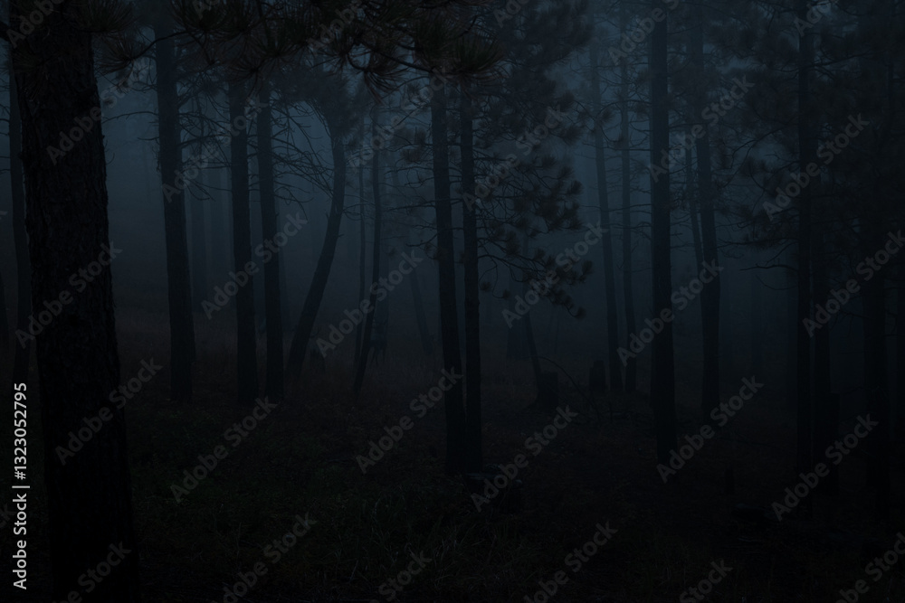 Obraz premium Spooky forest