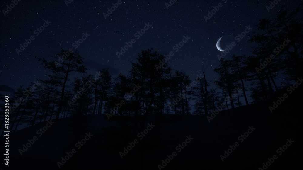 Night in the forest Night in the forest