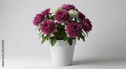 Wallpaper Mural Dahlia Plant with Pink and White Flowers in White Pot - HD Mockup Minimalist Style Torontodigital.ca