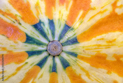 closeup macro ornamental squash exterior pattern atop
