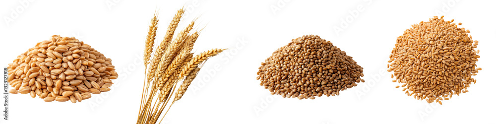 An assortment of whole grain ingredients including wheat barley oats and other cereals arranged in piles on a white background This image represents the natural healthy An assortment of whole grain ingredients including wheat barley oats and other cereals arranged in piles on a white background This image represents the natural healthy