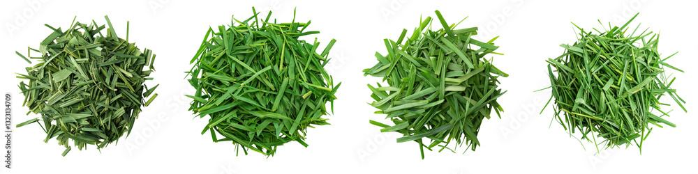 Closeup of freshly harvested green herbs such as chives parsley and cilantro for use in healthy nutritious cuisine and culinary creations The herbs have a vibrant verdant appearance Closeup of freshly harvested green herbs such as chives parsley and cilantro for use in healthy nutritious cuisine and culinary creations The herbs have a vibrant verdant appearance