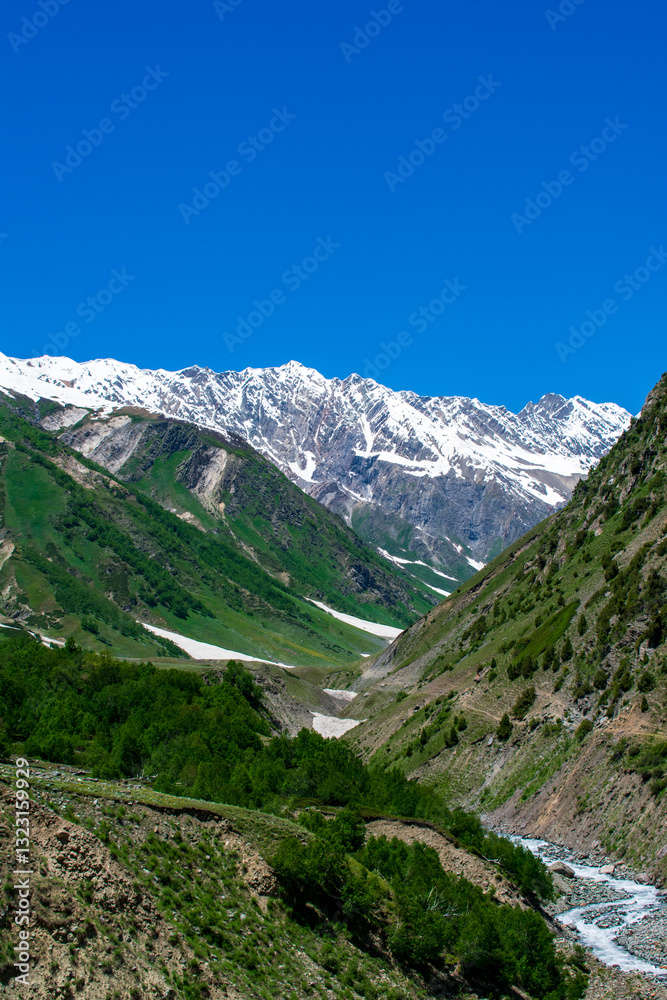 Fototapeta premium A stunning view of snow-covered peaks, green slopes, and alpine terrain in Dayitar Valley, Nagar, Gilgit, Pakistan. Captured on June 20, 2023, showcasing the beauty of northern Pakistan.
