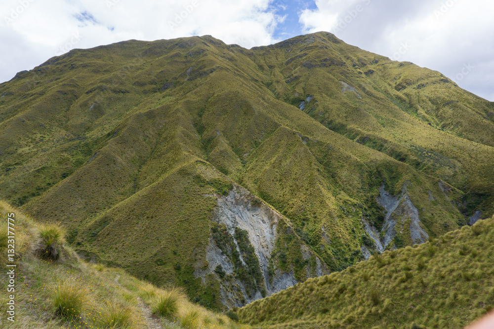 Obraz premium ニュージーランドの山