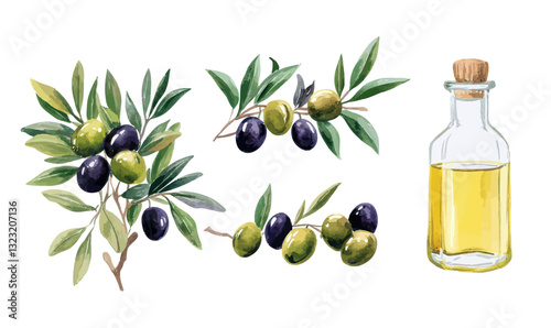 Watercolor Olive Branches and Oil Bottle Illustration: Minimalist Food Vector Art