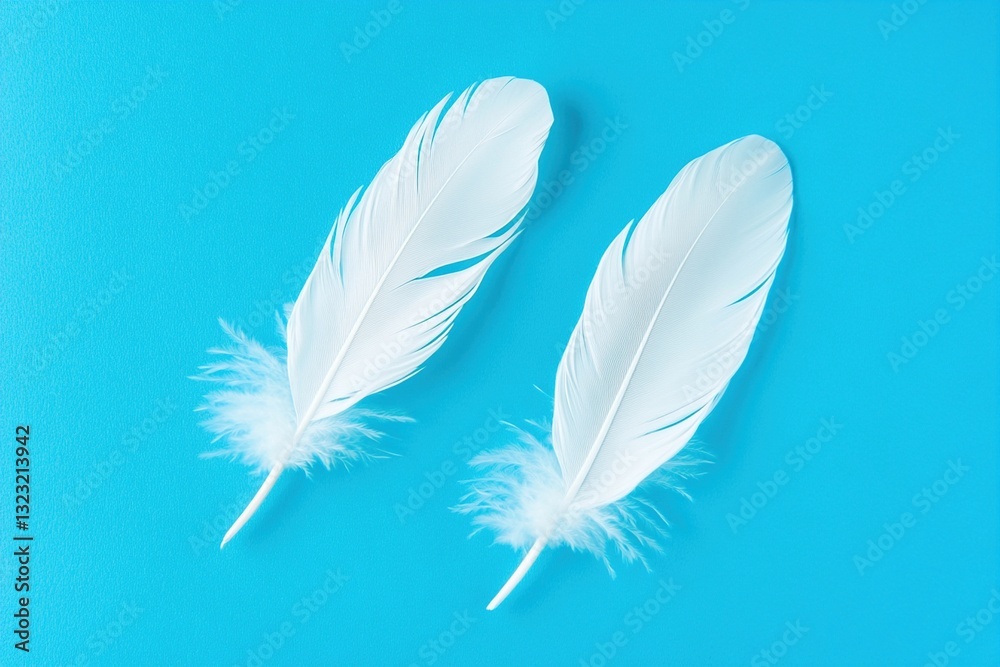 Fototapeta premium Two white feathers on blue background.