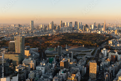Sunset view over the Shibuya and Shinjuku districts in Tokyo