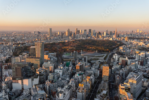 Panoramic Sunset view over the Shibuya and Shinjuku districts in Tokyo