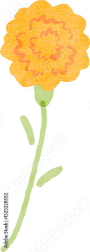 Hand drawn yellow carnation flower