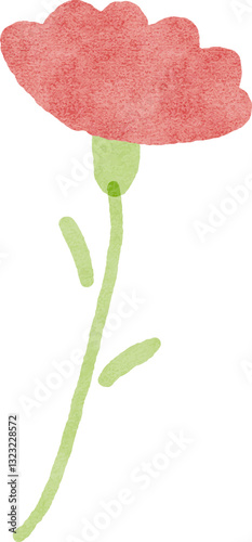 Hand drawn carnation flower