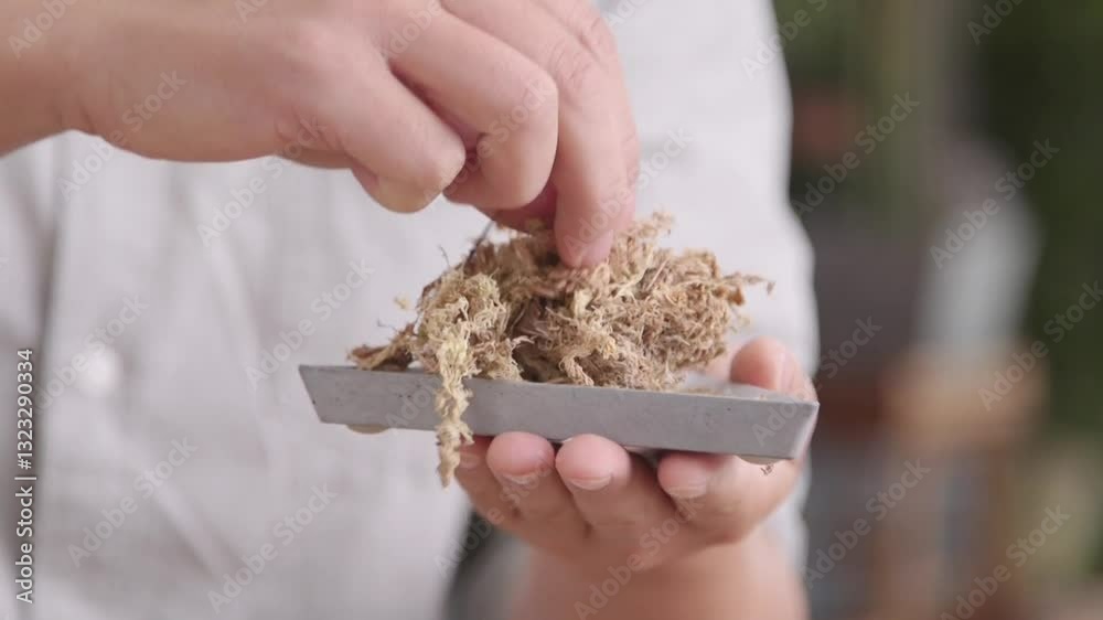 A close-up of a hand holding a gray dish filled with dried sphagnum moss, set against a blurred background. A close-up of a hand holding a gray dish filled with dried sphagnum moss, set against a blurred background.
