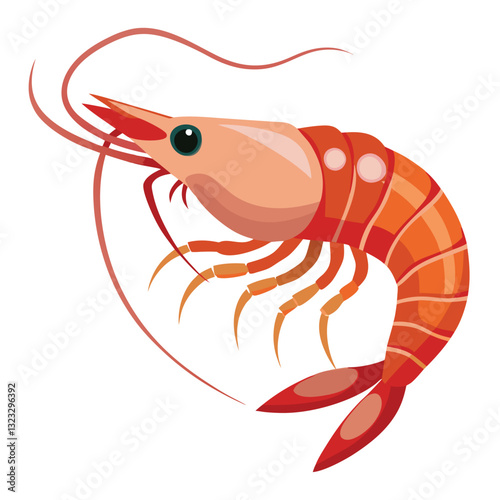colorful shrimp vector image on white background