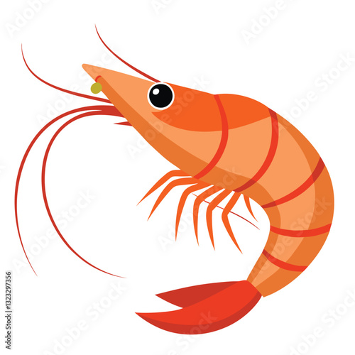 colorful shrimp vector image on white background