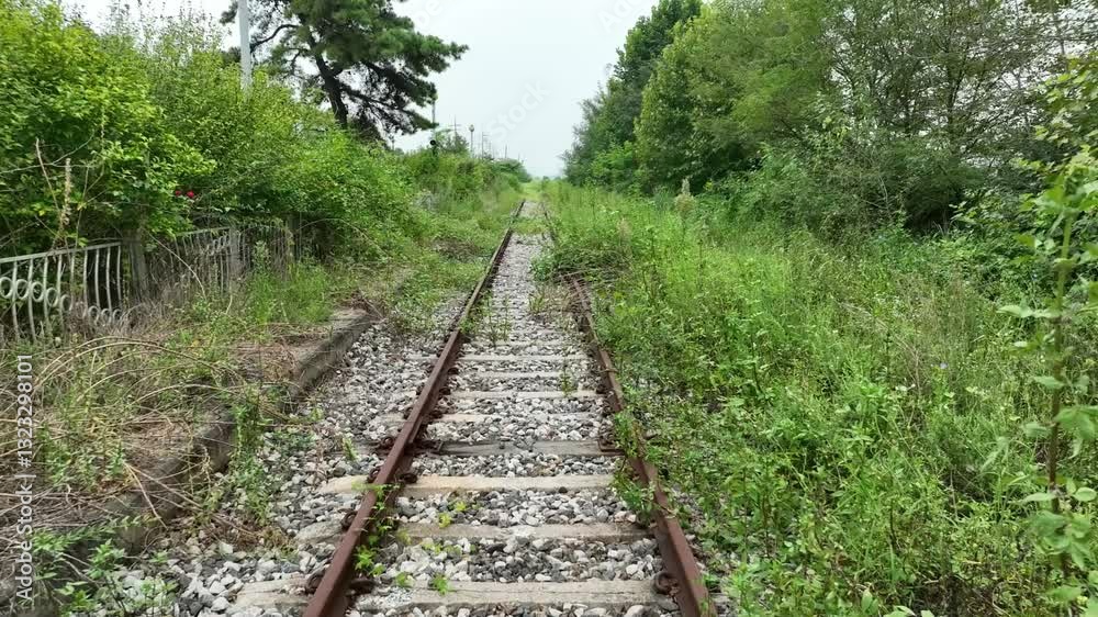 train road in the woods train road in the woods