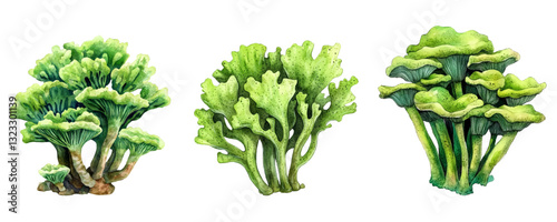 Watercolor set of green sea corals. Underwater green corals and algae watercolor. Underwater plants concept. Ocean, sea and river plants. Vector illustration.