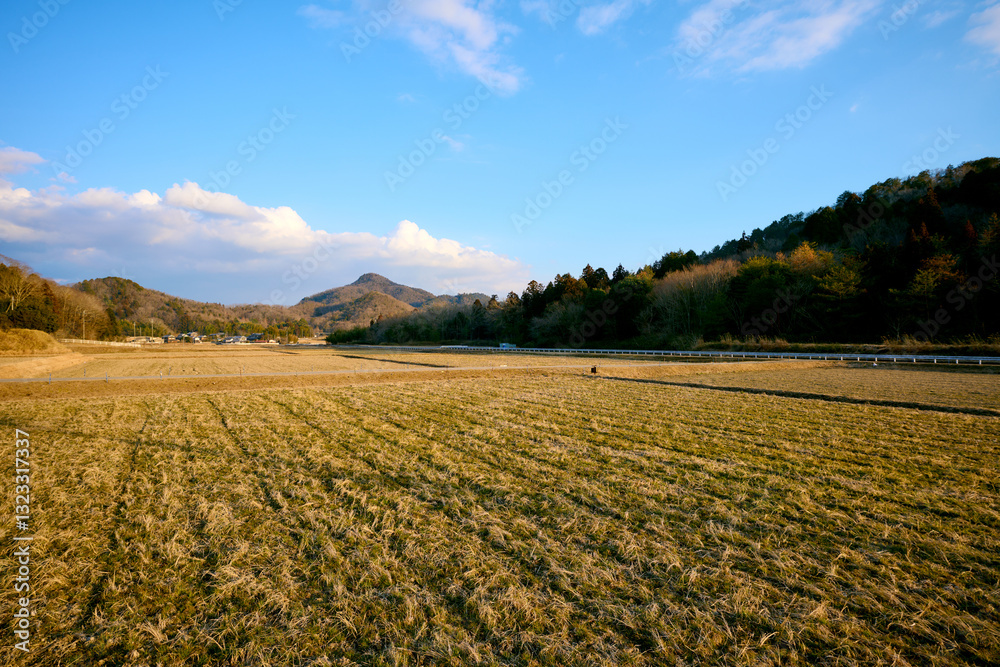 自然に囲まれた田園の風景