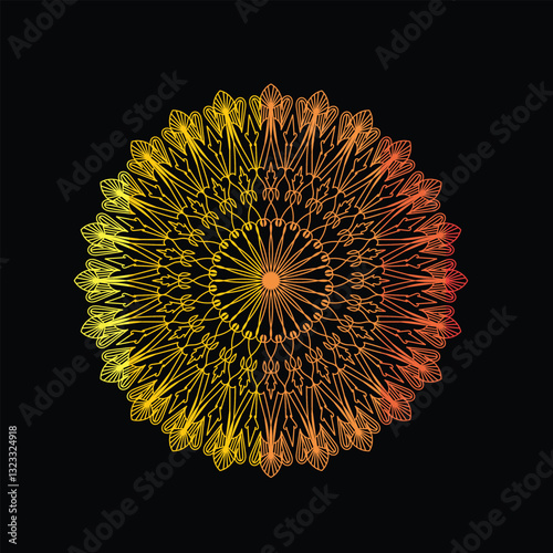 sunflower on black background