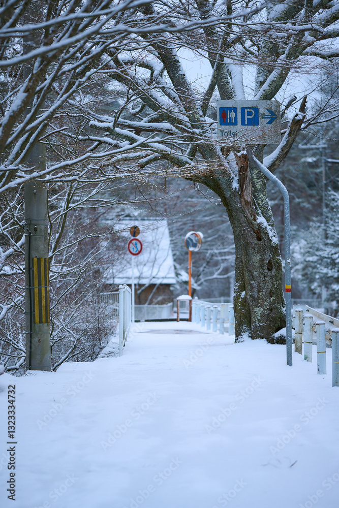 雪に覆われた歩道