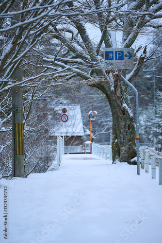 Obraz na płótnie 雪に覆われた歩道 w salonie