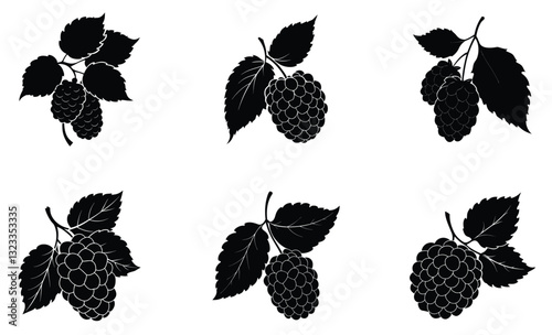 Mulberry silhouette vector