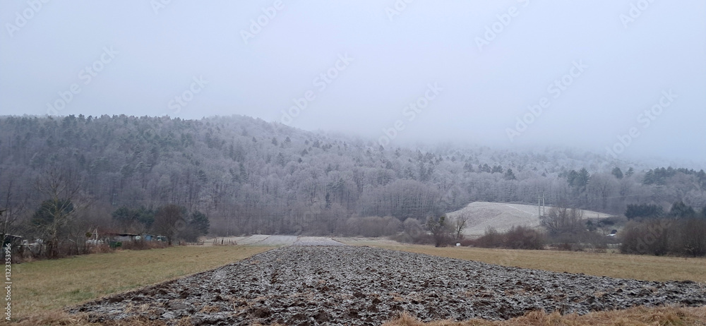 winter cold weather. Gray fog on Pohorje slope. Forest under frost. Slovenia.