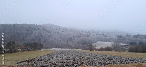 Obraz na płótnie winter cold weather. Gray fog on Pohorje slope. Forest under frost. Slovenia. w salonie