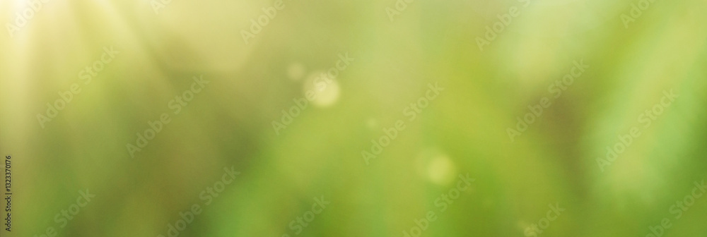 Obraz premium Natural green plants using as spring background cover page. Greenery banner.