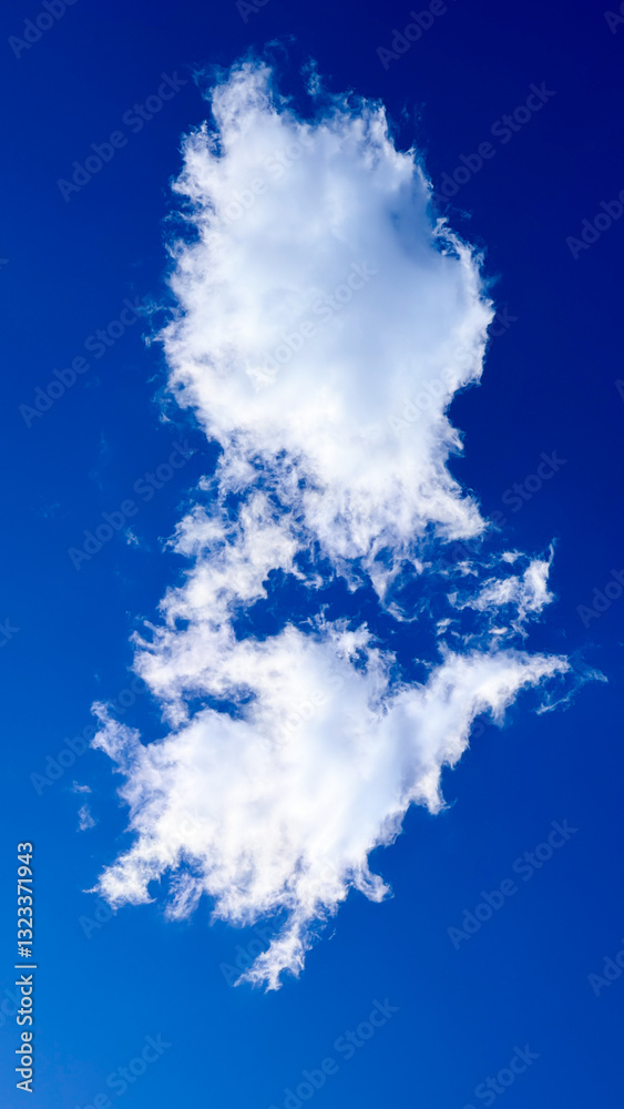 The beautiful views in Tokyo