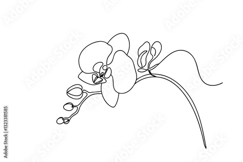 Elegant SingleLine Orchid Drawing Botanical Art, Minimalist Flower