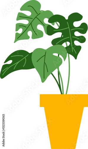 화분에 담긴 식물