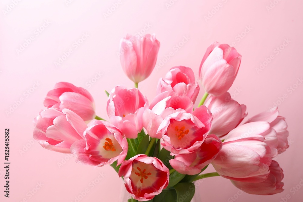 Beautiful fresh tulips on color background Beautiful fresh tulips on color background