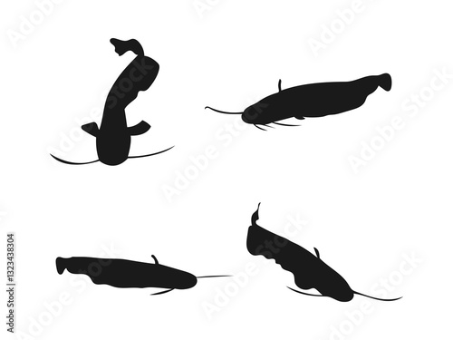 Silhouette of a European or wels catfish. Vector drawing fish, wels catfish. Hand drawn vector illustration. Vector illustration isolated on a white background.