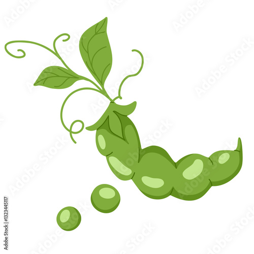 Green peas isolated on white background. Green beans vector hand drawn illustration. Green peas in pods food illustration. Design element for packaging, web, print